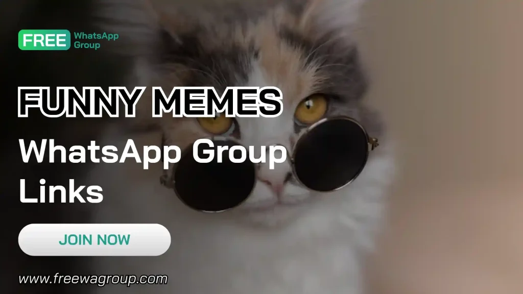 Funny Memes WhatsApp Group Links